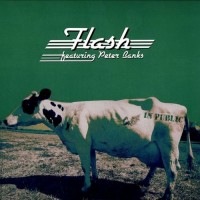 Buy Flash In Public Mp3 Download